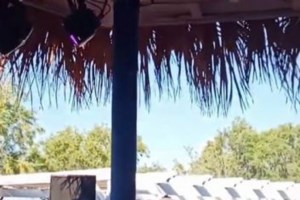 Καμπανάκι Μόσιαλου: Χρειάζονται άμεσα μέτρα για τα πάρτι στα νησιά και τα πανηγύρια- Δεν αρκούν οι συστάσεις