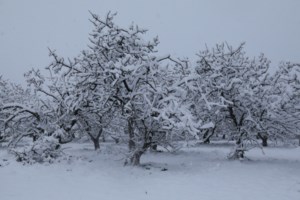 Κακοκαιρία Μήδεια: Επιχείρηση διάσωσης ενός 56χρονου στο Οροπέδιο Λασιθίου