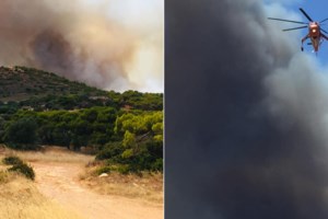 Σε εξέλιξη μεγάλη πυρκαγιά στον Θεολόγο: Σκληρός αγώνας των πυροσβεστών λόγω των ισχυρών ανέμων [Εικόνες- Βίντεο]