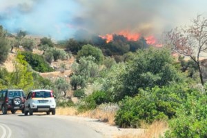 Ασύλληπτη καταστροφή από τις φωτιές σε Εβρο - Ροδόπη: Πάνω από 400 χιλ. στρέμματα κάηκαν μέσα σε τρεις μέρες - εικόνα 4