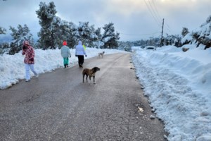 "Βουτιά" του υδράργυρου, βροχές και χιόνια στο μεγαλύτερο μέρος της χώρας - Σκεπάστηκε από χιόνι η Φλώρινα [εικόνες]