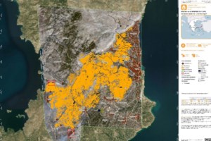 Φωτιά στη Χίο: Η επιστημονική αποτύπωση του μεγέθους της καταστροφής - Κάηκαν ξανά εκτάσεις που είχαν πληγεί το 2012 και το 2016 [εικόνες] - εικόνα 6