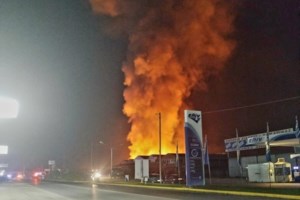 Απίστευτο περιστατικό στα Τρίκαλα: Σκορπιός τσίμπησε εργαζόμενο - Πώς τον έσωσε συνάδελφός του