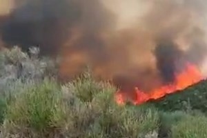 Πυρκαγιές σε Λασίθι και Κορινθία: Σηκώθηκαν εναέρια μέσα - εικόνα 2