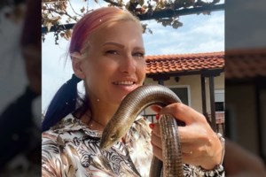 "Δεν ήξερα πως είμαι αλλεργική, είμαι καλά χάρις στο ΕΚΑΒ" λέει η εθελόντρια που τη δάγκωσε οχιά