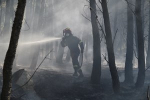 Φωτιά στο Αρίστηνο Έβρου: Εκκενώθηκαν τα παιδικά χωριά SOS - Ο άνεμος σπρώχνει τις φλόγες σε χωριά [Εικόνες - Βίντεο] - εικόνα 5