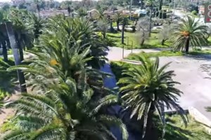 Πεταλιοί: Το ελληνικό νησί που σκέφτεται να αγοράσει ο Μπιλ Γκέιτς έναντι 26 εκατ. ευρώ [βίντεο] - εικόνα 2