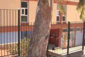 Ανάβυσσος: Πέταξαν τρικάκια με σβάστικες και απειλούσαν 12χρονη μαθήτρια - "Τα είχαμε δει στο TikTok" λέει ο 13χρονος [βίντεο]