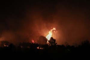 Φωτιά στον Εβρο: Καίει αναξέλεγκτη για δεύτερη ημέρα - Μάχη για να σωθεί το Δάσος της Δαδιάς