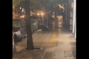 Κυψέλη: Ξεψύχησε ο σκύλος που μαχαιρώθηκε από 47χρονο - "Δεν έχω δει τέτοια βαναυσότητα", λέει ο πρόεδρος του ΔΙΚΕΠΑΖ - εικόνα 7