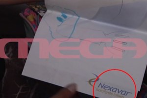 Πάτρα: Αποκάλυψη - Αυτή είναι η πρώτη ιατροδικαστική έκθεση για τον θάνατο της Μαλένας [Βίντεο] - εικόνα 2