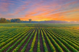 Πέθανε ανήμερα των 103ων γενεθλίων του ο Τζέιμς Λάβλοκ, ο "προφήτης" της κλιματικής κρίσης - εικόνα 2