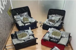 Διακοπές - βιτρίνα για τρεις Αμερικανίδες στην Ελλάδα - Μετέφεραν 72 κιλά κάνναβης στην Ιταλία και συνελήφθησαν - εικόνα 2