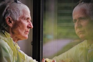 Ανακαλύφθηκαν για πρώτη φορά σημάδια Αλτσχάιμερ και στον εγκέφαλο δελφινιών