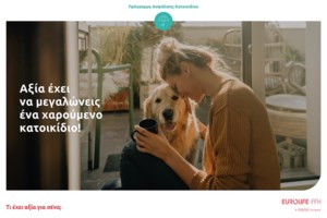 Γατάκια σε ανάγκη: Η οικογένεια τους φεύγει στο εξωτερικό και κινδυνεύουν να τα χάσουν όλα - εικόνα 2