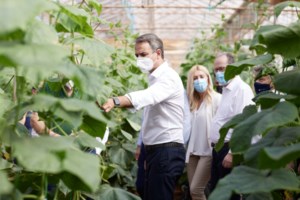 Βίντεο - ντοκουμέντο: Όταν ο Κωνσταντίνος Μητσοτάκης επισκεπτόταν τον Κυριάκο στο Χάρβαρντ - εικόνα 3