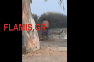 Αδίστακτος επιδειξίας "τρομοκρατεί" σχολεία του Βύρωνα: Τι λένε αυτόπτες μάρτυρες - εικόνα 3