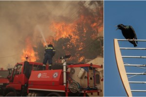Ξεκίνησε η κακοκαιρία- Κολυδάς: Πού θα "χτυπήσει" τις επόμενες ώρες - Τρεις πυρήνες με καταιγίδες - Δεύτερο κύμα πιο ισχυρό την Πέμπτη - εικόνα 4