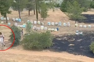 Γαλάτσι: Αθώος ο μελισσοκόμος που συνελήφθη για τη φωτιά στο Άλσος Βείκου