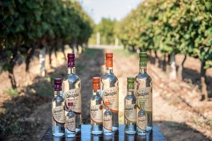 Το Δεκαράκι Μονοποικιλιακά Αποστάγματα: "Σκιές στο πατητήρι"- Η παράδοση που αναδεικνύει τον καλύτερο εαυτό μας - εικόνα 2