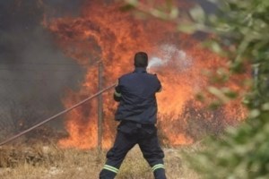 Φωτιές σε Αφίδνες και Λακωνία: Εναέρια μέσα στη μάχη της κατάσβεσης