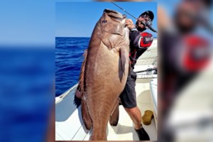 Λίμνη Πλαστήρα: Αλιεύθηκε γουλιανός μήκους 2,40 μέτρων με καλάμι - Το τεράστιο γατόψαρο επέστρεψε στο νερό [εικόνες]