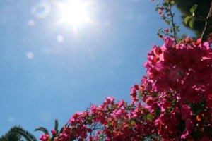 Αλλάζει ο καιρός από την Κυριακή με ισχυρούς βοριάδες και τοπικές βροχές - Πότε έρχεται νέα "οργανωμένη" κακοκαιρία