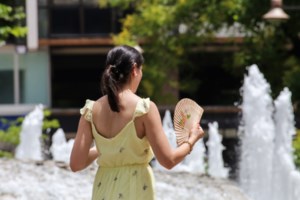 Καύσωνας: Έτσι "σώθηκε" το Λεκανοπέδιο από τον "λίβα" - Ο Καλλιάνος εξηγεί γιατί η Αττική δεν έγινε καμίνι