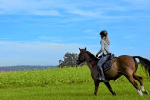 Θεσσαλονίκη: Αυτός είναι ο καθηγητής ιππασίας που κατηγορείται για σεξουαλική παρενόχληση – Παραμένει άφαντος - εικόνα 2