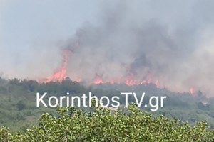 Σοβαρό τροχαίο στην εθνική οδό Κορίνθου-Τριπόλεως με έναν τραυματία [Βίντεο - εικόνα]