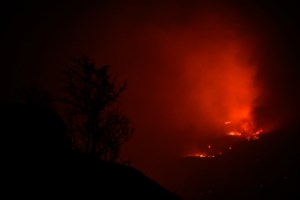 Πυρκαγιά σε δασική έκταση στην περιοχή Πανόραμα Δράμας