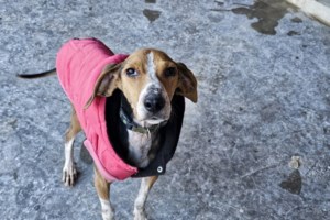 Μόντο: Τι έχεις; - Βέλβετ: Τίποτα... Μουτράκια, ναζάκια ή "σύννεφα"; - εικόνα 6