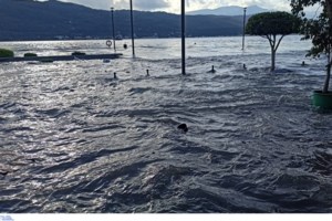 Σεισμός στην Κρήτη: Η στιγμή που χτυπά ο Εγκέλαδος - Πολίτες βγαίνουν έντρομοι στους δρόμους [βίντεο] - εικόνα 8