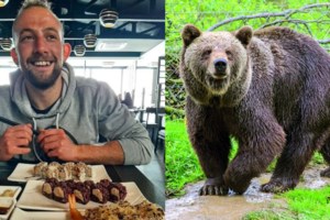 Πήλιο: Αρκούδα καταβρόχθισε κουνέλια στην Νταμούχαρη - Η τεράστια πατημασιά που άφησε - εικόνα 2