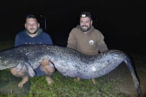 Χανιά: Έπιασαν τεράστιο ψάρι 1,5 μέτρου και 42 κιλών ανοιχτά της Γραμβούσας - εικόνα 2