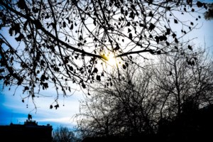 Meteo: Ανοιξιάτικος καιρός την Τετάρτη – Σε ποιες περιοχές ο υδράργυρος θα σκαρφαλώσει στους 20 βαθμούς - εικόνα 2