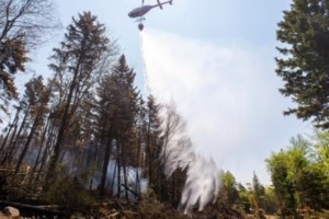 Νότια Κορέα: Στους 22 οι νεκροί από τις πλημμύρες - Βιβλική καταστροφή [εικόνες] - εικόνα 2