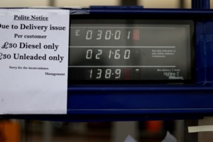 Βρετανία: Απειλείται η γαλοπούλα των Χριστουγέννων λόγω μαζικής απώλειας εργατικών χεριών