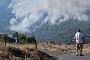 Φωτιά στα Βίλια: Δεν απειλούνται οικισμοί - Οι φλόγες κατευθύνονται προς το Πεδίο Βολής Μεγάρων - εικόνα 3