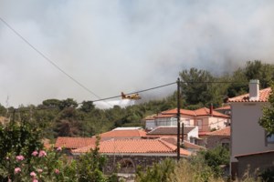 Φωτιά στη Λέσβο: Η ενίσχυση των ανέμων έφερε σοβαρές αναζωπυρώσεις - εικόνα 7