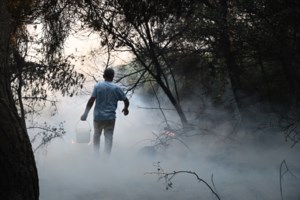 Πυρκαγιές σε Φλώρινα και Ορεστιάδα: Συναγερμός στην Πυροσβεστική