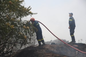 Φωτιά στη Βοιωτία –  Συναγερμός σήμανε στην Πυροσβεστική - Επιχειρούν εναέρια μέσα