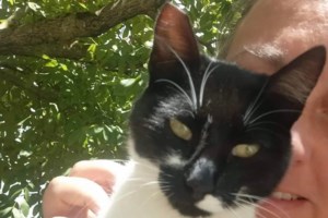 Παρέμβαση Ντογιάκου για την αθώωση 30χρονου για κακοποίηση γάτας στη Χαλκίδα- Να δω τον φάκελο