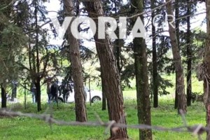Π. Φάληρο: 36χρονος πυροβόλησε το αυτοκίνητο που επέβαινε η πρώην του - Τραυμάτισε τον αδερφό της και τον νυν σύντροφό της