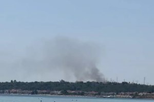 Ολονύχτια μάχη με τις φλόγες στην Ορεινή Κορινθία - Τρία τα μέτωπα - Δυο συλλήψεις, έκαναν ηλεκτροσυγκόλληση στο δάσος - εικόνα 15