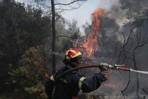 Φωτιά στον Σχίνο: Νέο μήνυμα από το 112 - Εκκενώθηκε και το Αλεποχώρι - Η πυρκαγιά πλησιάζει το χωριό