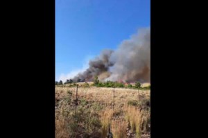 Ολονύχτια μάχη στη Ρόδο με τη φωτιά: Εκκενώθηκε το χωριό Λαέρμων - Οι φλόγες απειλούν τα σπίτια [Βίντεο] - εικόνα 2