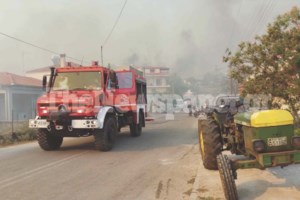 Φωτιά στο Βελεστίνο: Δεν είναι αυτός ο 45χρονος βοσκός - Εκανε λάθος η ρεπόρτερ της ΕΡΤ - εικόνα 2