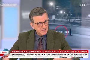 Τέμπη: "Ναι μεν, αλλά…" από τη Γεροβασίλη για σύσταση Προανακριτικής – "Χρειάζονται κι άλλα στοιχεία"