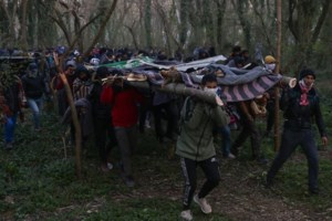 Νέα επεισόδια στον Εβρο: Μετανάστες προσπάθησαν να ρίξουν τον φράχτη με φλεγόμενο δένδρο [βίντεο]